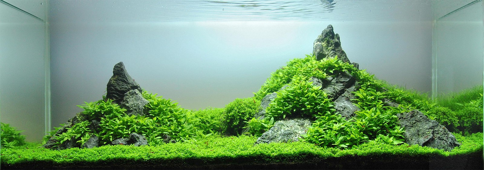 Generic Seiryu Stone