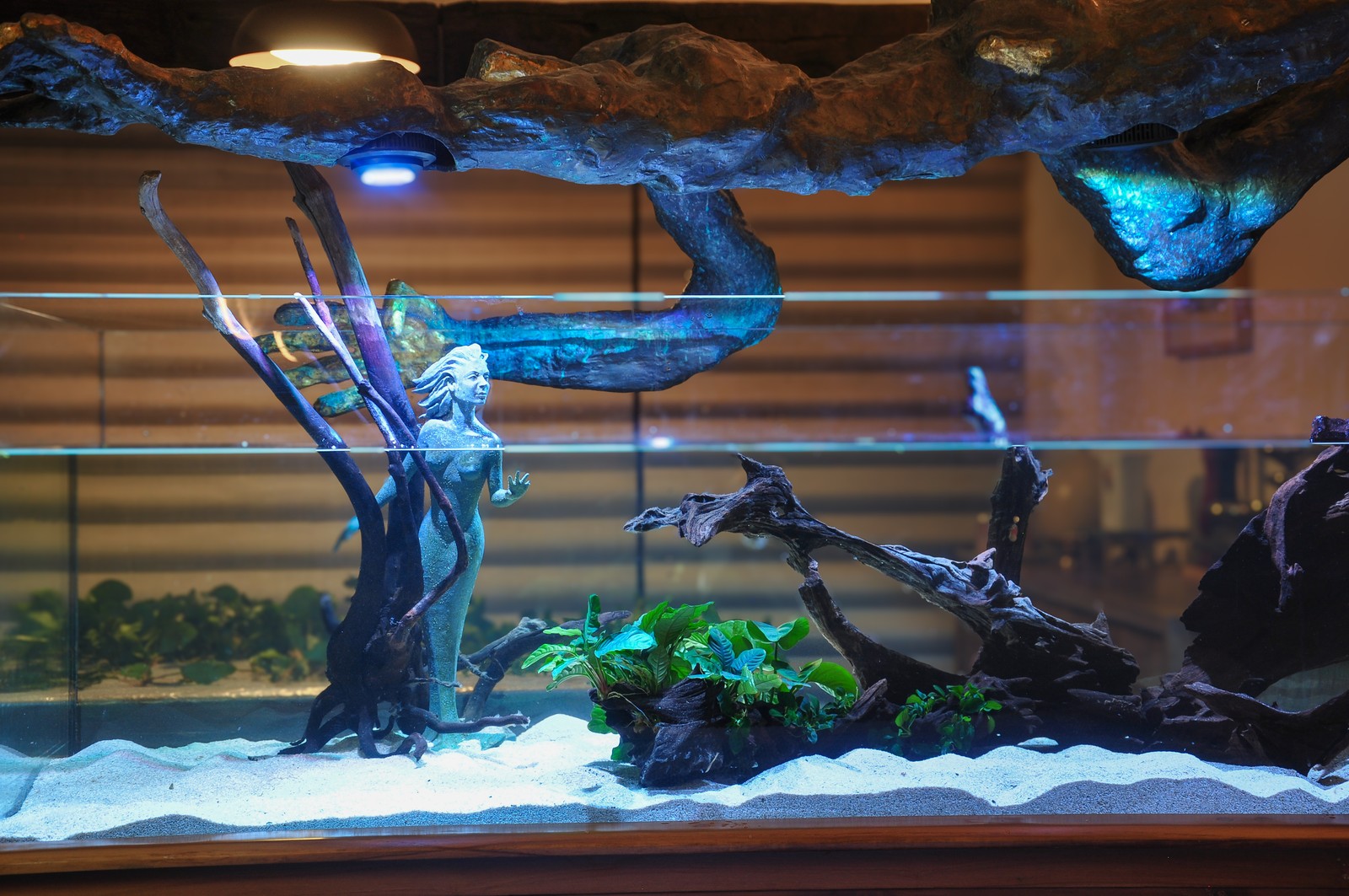Zoo Med Mopani Wood Natural